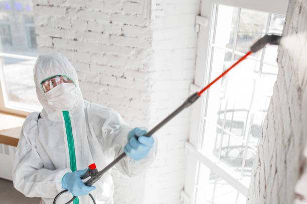 Mold Remediation for Vacation Homes in Creve Coeur, MO